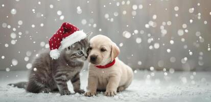 Kitten and Puppy Celebrating Christmas Together With Festive Accessories photo