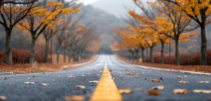 Tranquil Autumn Pathway Lined With Golden Trees in Late Afternoon Light photo