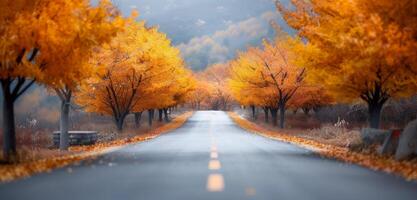 Tranquil Autumn Pathway Lined With Golden Trees in Late Afternoon Light photo