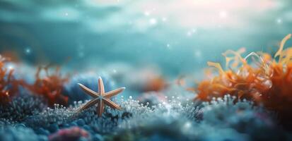 Starfish on Sandy Ocean Floor Surrounded by Sea Anemones in Sunlit Waters photo