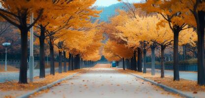 Tranquil Autumn Pathway Lined With Golden Trees in Late Afternoon Light photo