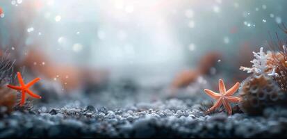 Starfish Among Colorful Corals Underwater in a Vibrant Marine Environment photo