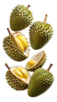 Durians with open and closed shells floating in air, isolated transparent png