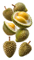 Whole and half durians with yellow flesh exposed, isolated transparent png