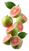 Tropical guava with vibrant green leaves, whole and sliced, isolated transparent png