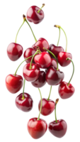 Bunch of fresh cherries with stems floating on white background, isolated transparent png