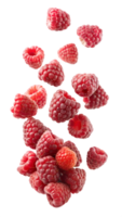 Falling fresh raspberries with realistic texture, isolated transparent png
