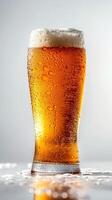 A tall glass of amber beer with foam and bubbles on the surface, captured with condensation droplets against a light background photo