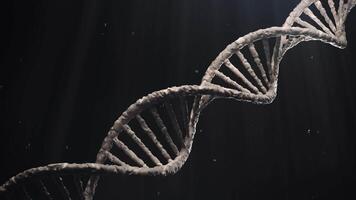 Structure Molecules DNK rotate loop video