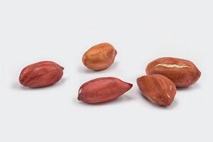 peanuts on a white background photo