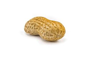 peanuts on a white background photo