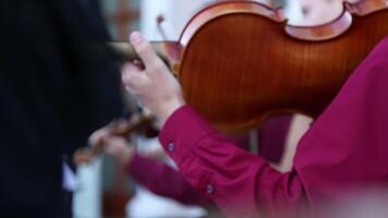 The musicians play on stringed instruments. video