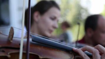 The musicians play on stringed instruments. video