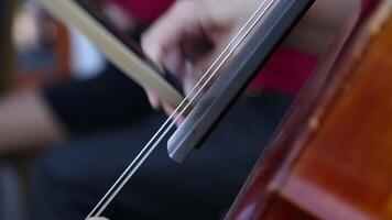 The musicians play on stringed instruments. video