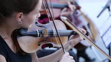 Three musicians play on stringed musical instruments. video