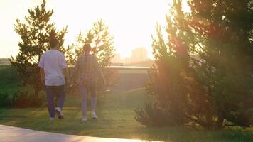 Young couple is walking in the park as the sun is setting. They're just messing around, holding hands and having fun. video