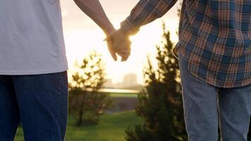 Two lovers holding hands, then letting go in the background of a sunset in the park. video