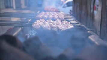Skewers of shish kebab and chicken cooked on a grill street Food video