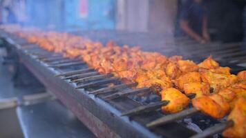 Skewers of shish kebab and chicken cooked on a grill street Food video
