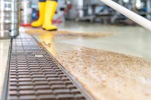 clean the floors with water and squeegee in the brewery photo