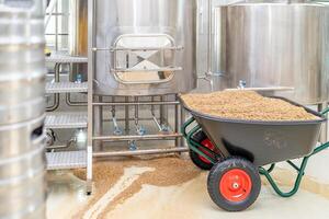malt for brewing beer in a brewery photo
