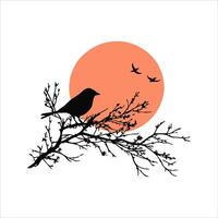 A Sunset With a bird silhouette EPS file vector