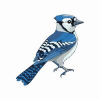 Bird graphics eps file vector