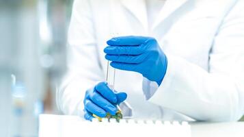 tested and experimental changes in plant genetics in the laboratory photo