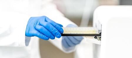 examination of a chemical sample using modern devices in the biochemical laboratory of the research institute photo