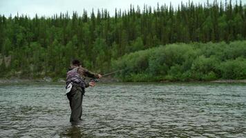 A fisherman casts a spinning rod to catch fish in a river near a forest video