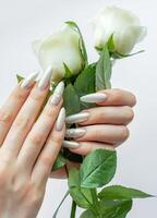Female Hands on a white background with beautiful pearl manicure and white roses photo