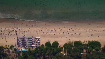 Top view of a summer sunny beach. Lots of tourists, greenery and beach umbrellas. Tourist season in a tropical country video