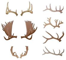 Colored antlers, front and side views vector