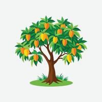 green mango tree illustration vector
