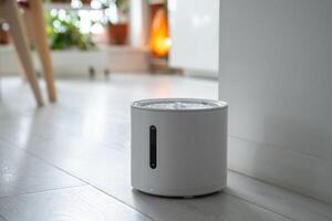 Automatic electric pet water dispenser. Smart cat and small dog drinker with mobile app connection. photo