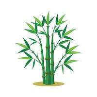Bamboo tree illustration, green, local tree, nature vector