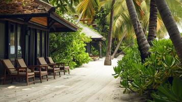 Tranquil beachfront pathway lined with palm trees and inviting lounge chairs photo
