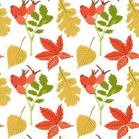 Contrast autumn seamless pattern with rosehip branch with leaves and red berries. Hand drawn flat style. Simple botanical illustration isolated on white background. Perfect for textile and wrapping vector