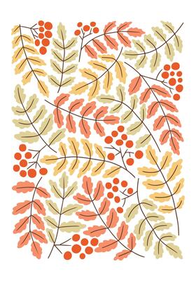 Autumn Vintage botanical mid century poster or art print with rowan leaves and berries. Hippie 60s, 70s style. Isolated leaves on white background in nostalgic style