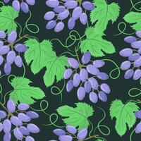 Pattern of grape clusters in retro style. Grainy texture. illustration. vector