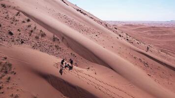 Drone view of people riding on a board on the sand dunes of the desert video