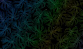 abstract green leaf texture, jungle leaf seamless floral pattern background. elegant nature. vector