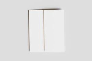 DL Bifold white color and realistic render on white background photo