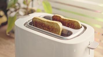 Close up of sliced bread in electric toaster or a toast maker on wooden desk in Kitchen video