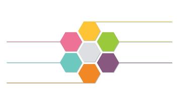 Hexagon infographics for presentations, education, web design. vector