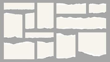 White torn paper notes with ripped edges, scraps vector