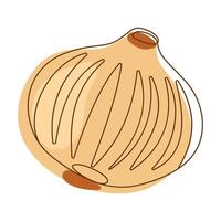 Onion Bulb Aromatic Vegetable Spice Condiment in Line Art Style vector