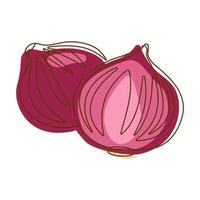 Spanish Red Onion Bulb Aromatic Vegetable Spice Condiment in Line Art Style vector