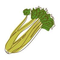 Celery Leaf Aromatic Vegetable Spice Condiment in Line Art Style vector