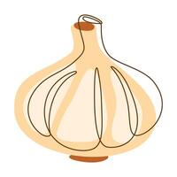 Garlic Bulb Aromatic Vegetable Spice Condiment in Line Art Style vector